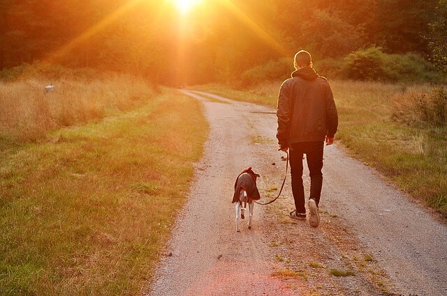 いつかは来る別れ。愛犬の死後の手続きと必要書類一覧